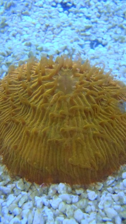 P1010661 