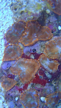P1010723 