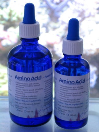 Acides Aminés Hautement Concentrés 10 ml