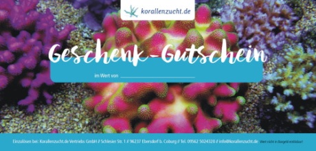 Online Gutschein PDF 15.-€