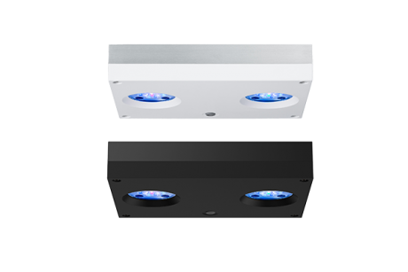 AI Hydra HD 32 LED weiß blanco
