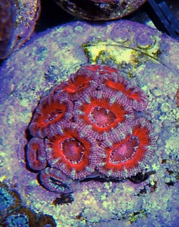 P1110263 
