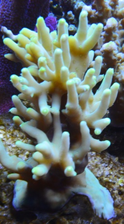 DSC 5472 