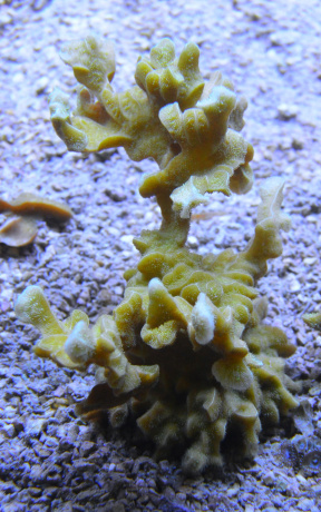 DSC 3393 