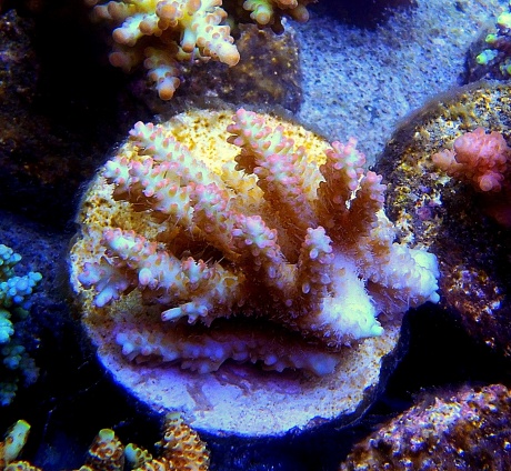 P1140118 