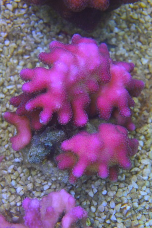 DSC 0997 