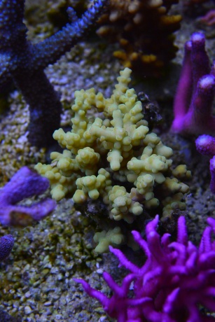 DSC 6583DSC 6565 