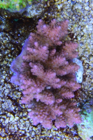 DSC 5509 