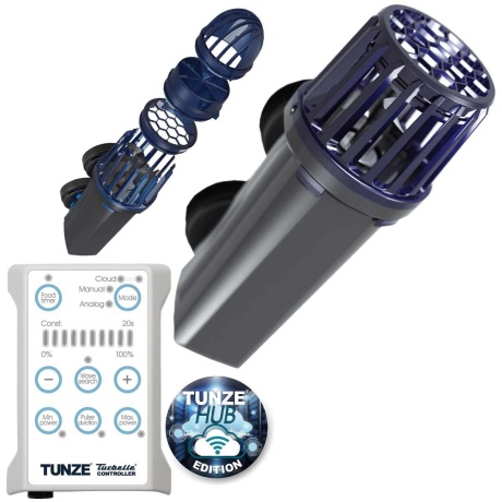 Turbelle stream 3 