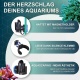 morepic-3