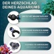 morepic-3