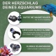 morepic-5