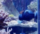 morepic-6